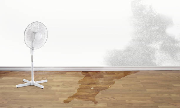 Best Professional water damage repair  in Summerville, GA