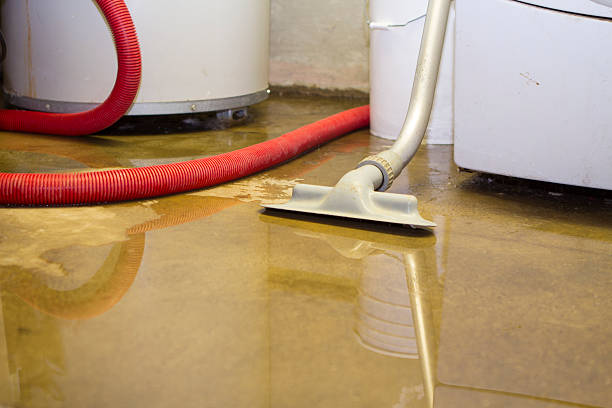 Best Flood damage cleanup  in Summerville, GA
