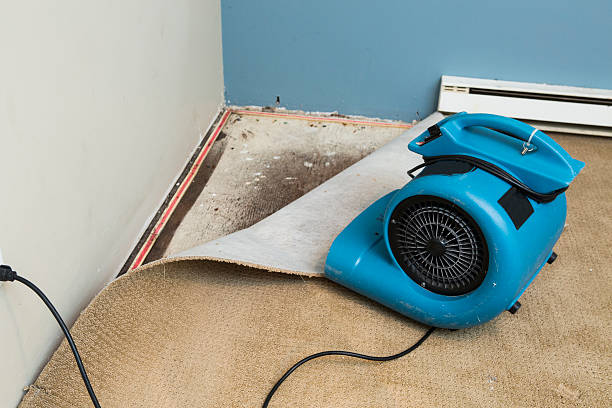 Best Flooded house restoration  in Summerville, GA